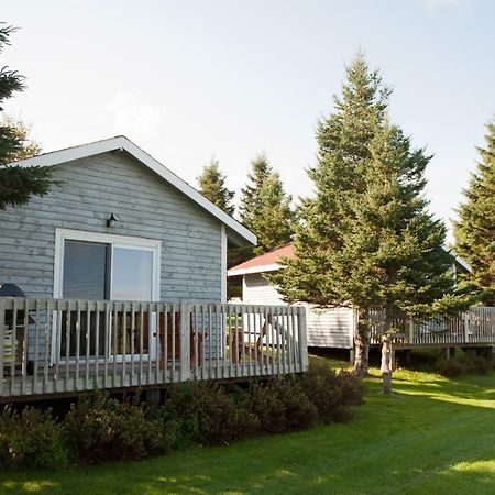 Stanley Bridge Country Resort And Conference Centre Exterior foto